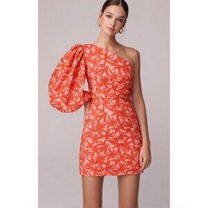 KEEPSAKE | Parallel Embroidered Puff Sleeve Mini Dress in Chili, Size Small (4)